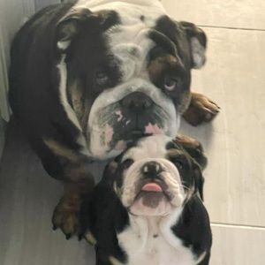 Meet your Posher, Carlos